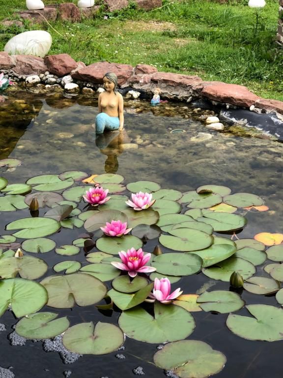 Haus Adams - Das Wohlfühl Gästehaus