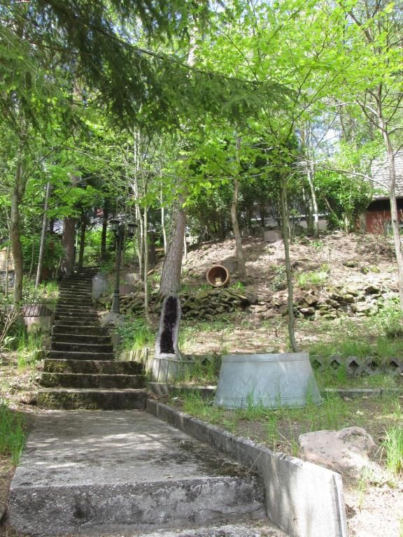 Ferienhaus Eulennest