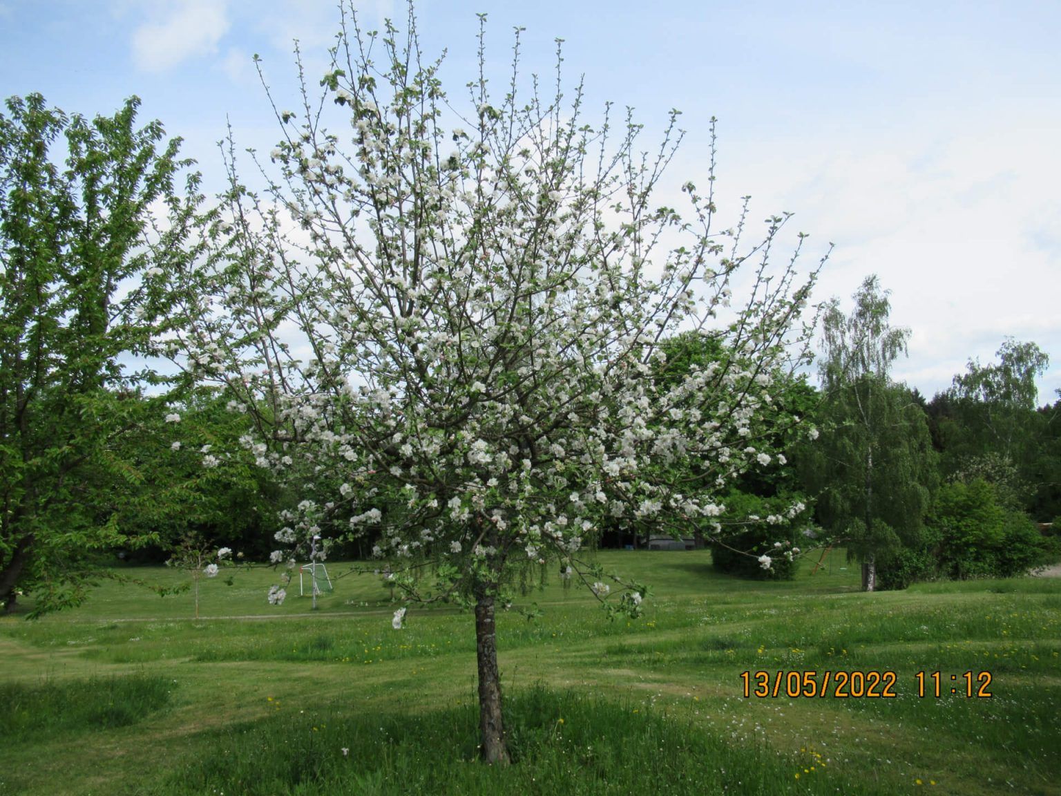Camping-Mobilheimpark Am Mühlenteich