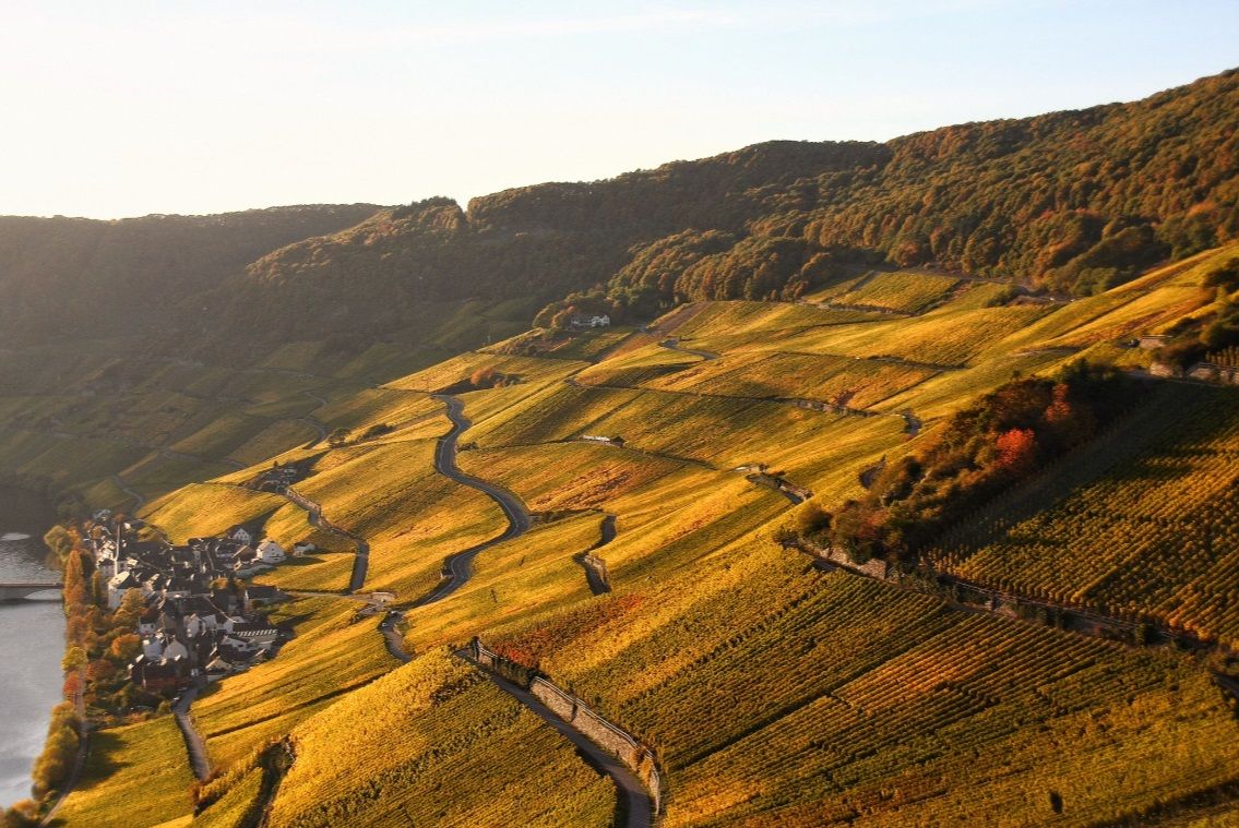 Wein und Ferienhaus Koch