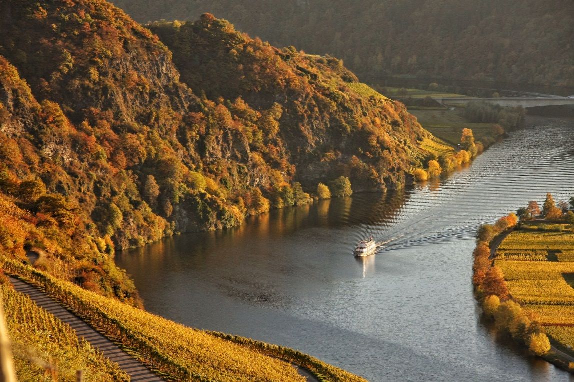 Wein und Ferienhaus Koch