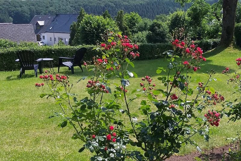 Appartement Eule im Haus Eifelstein