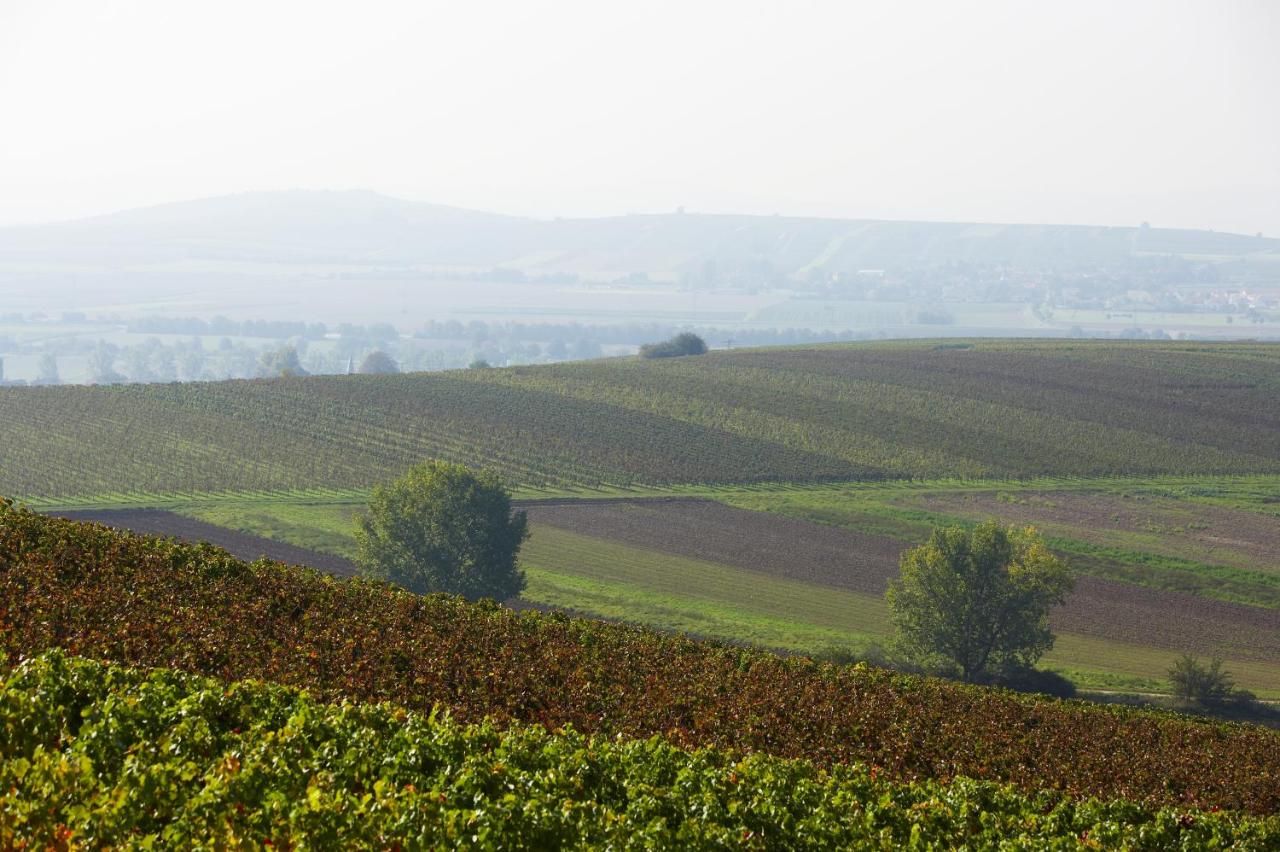 Weingut und Ferienwohnungen Huff-Doll