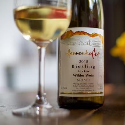 Weingut & Gästezimmer Herrenhof