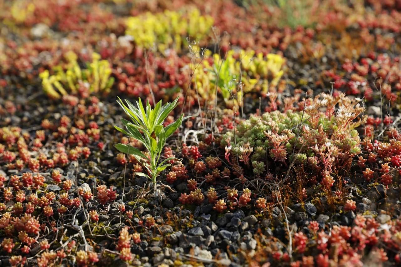 Barrierefreie Ferienwohnungen am Wasserturm Landau - Südpfalz