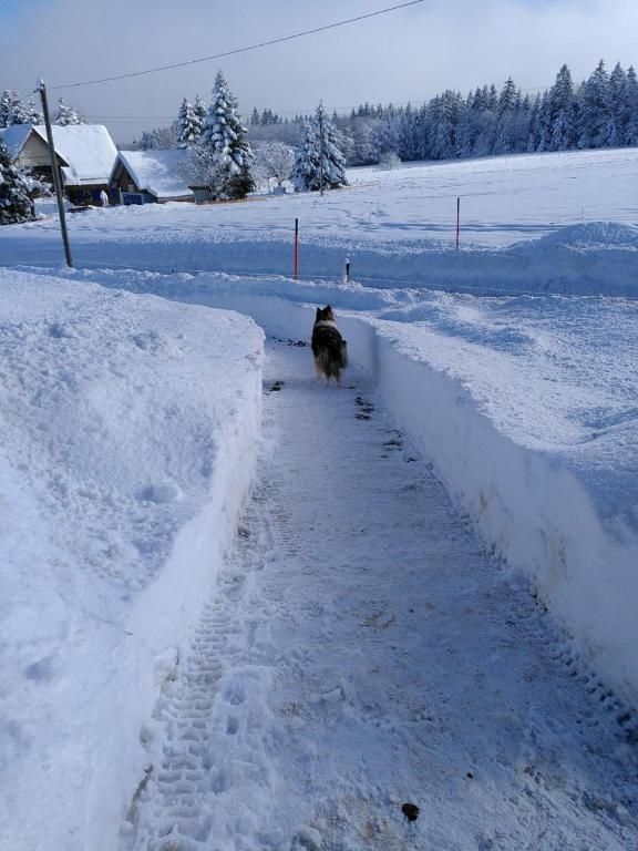 Gästehaus Wilder Mann