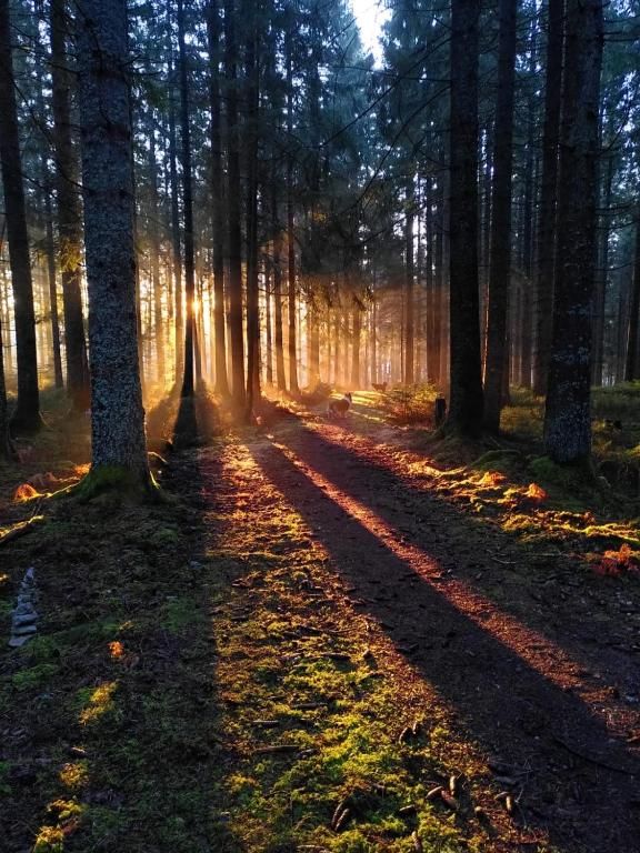 Gästehaus Wilder Mann
