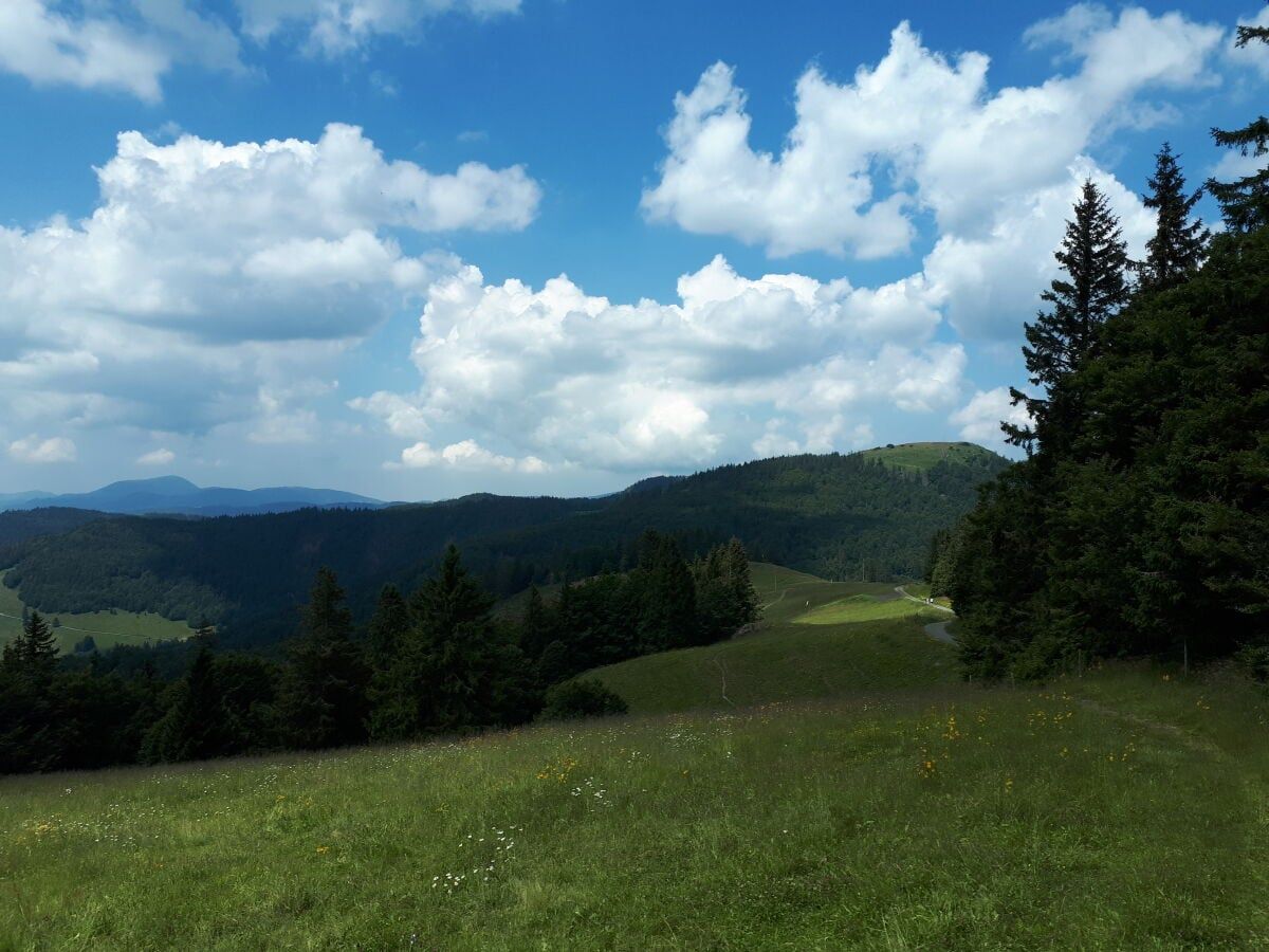 Ferienwohnungen Bernau Dorf
