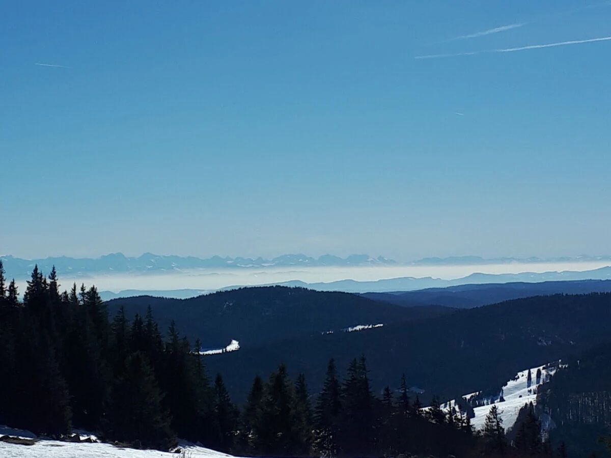 Ferienwohnungen Bernau Dorf