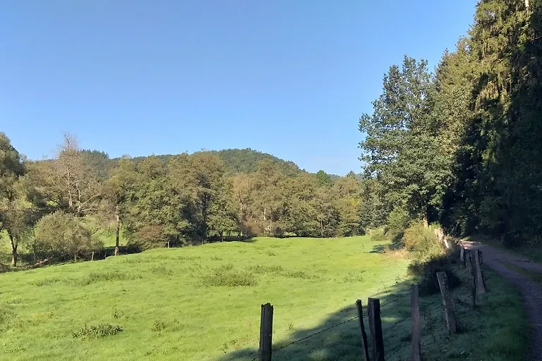 Appartement Eichhörnchen im Haus Eifelstein