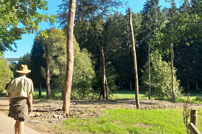 Appartement Eichhörnchen im Haus Eifelstein