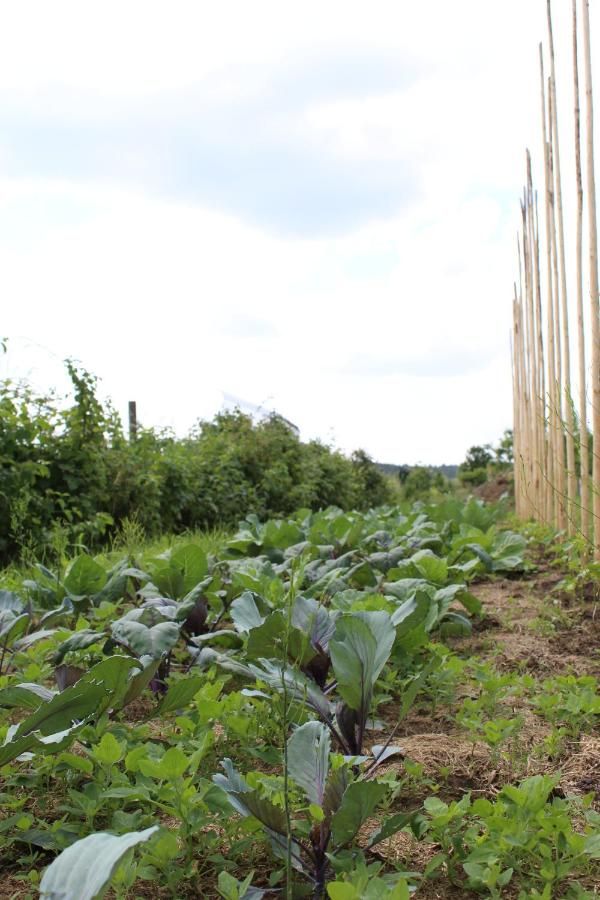Ferienhaus Landhaus Almyssen