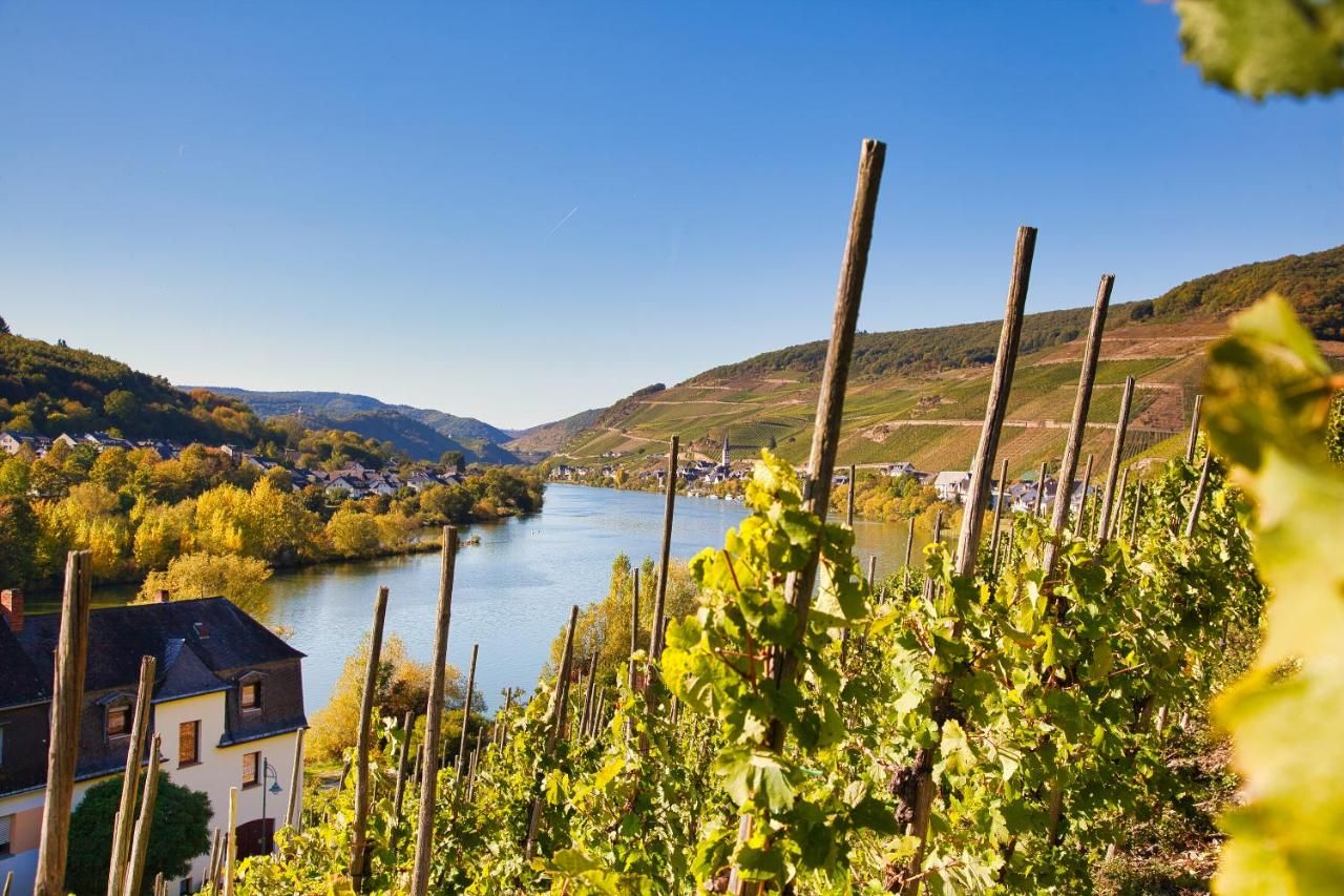 Hotel-Weinhaus Mayer