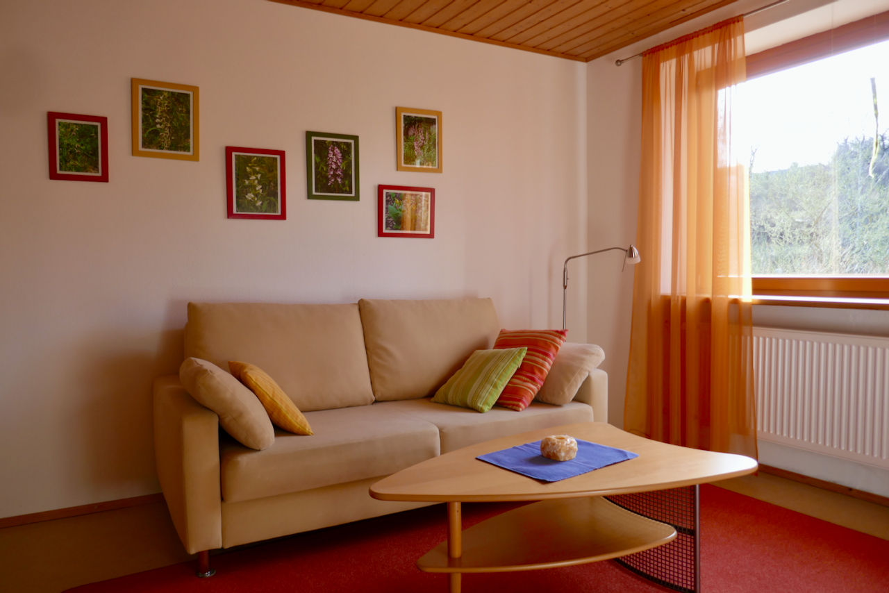 Wohnzimmer mit Schlafcouch