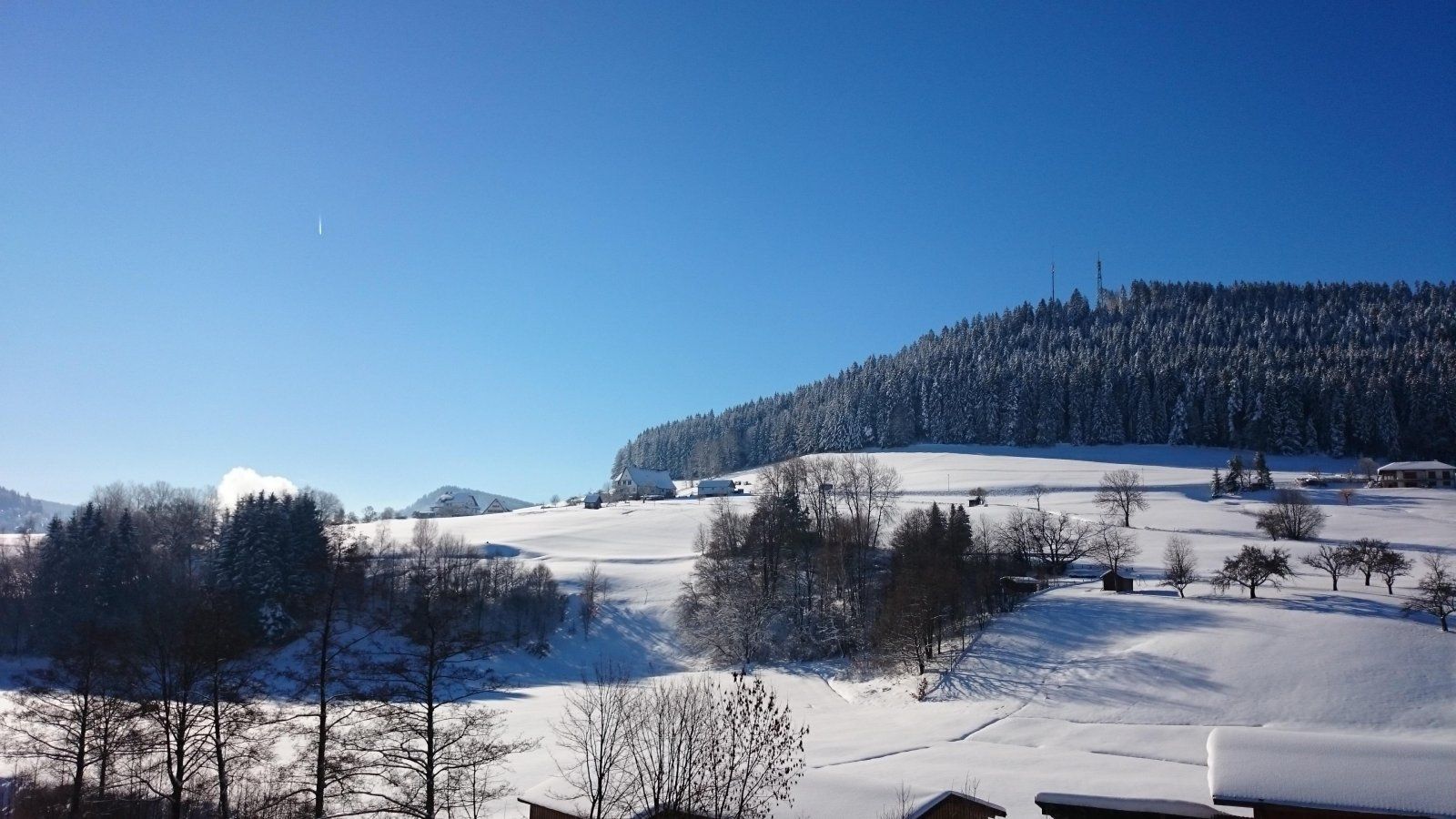 Ferienwohnungen Black Forest Experience