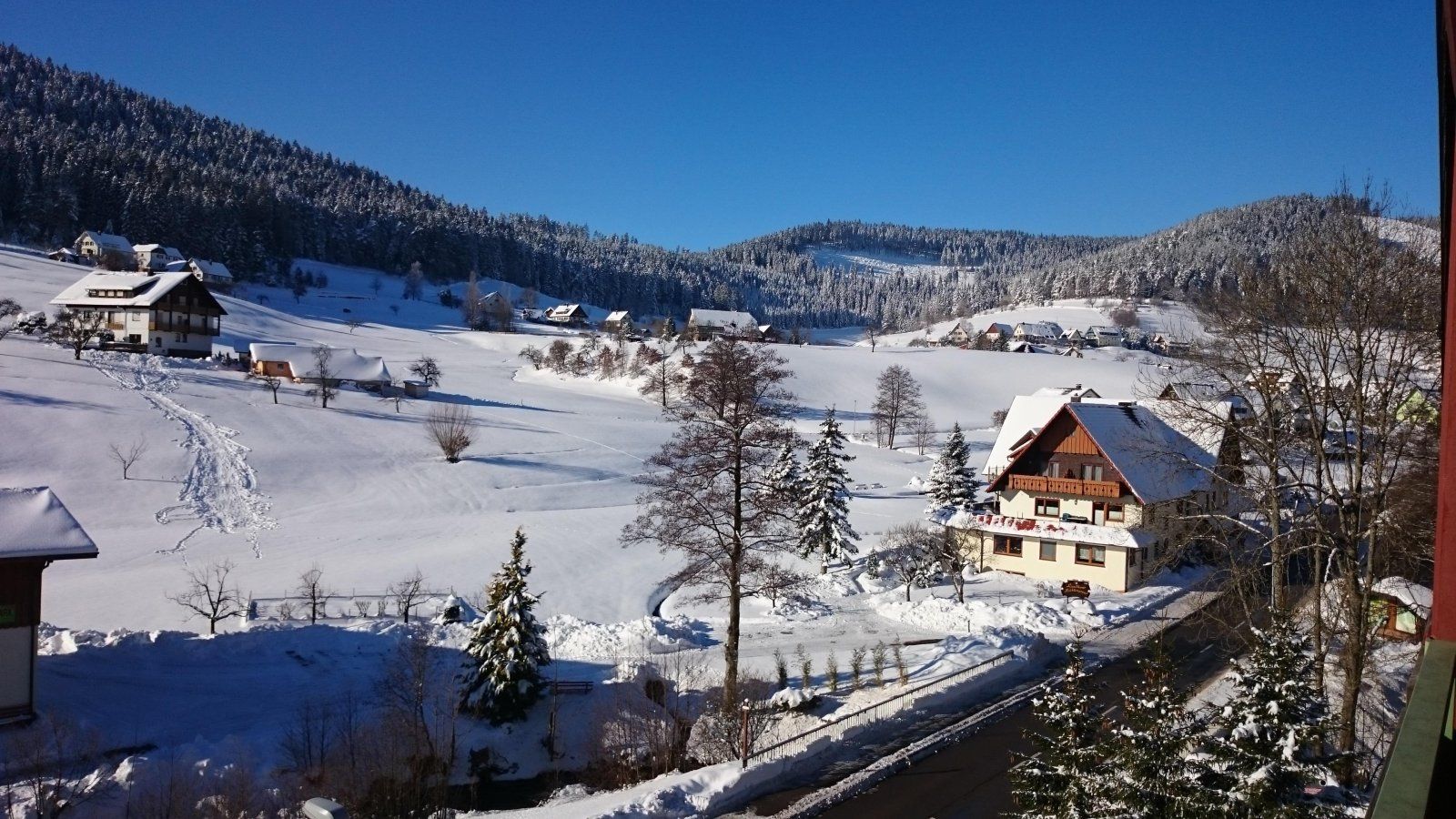 Ferienwohnungen Black Forest Experience