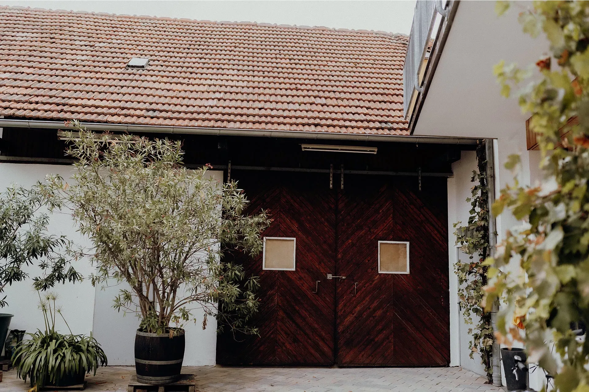 Gästezimmer & Weingut Doris & Uwe Kleemann in Rheinhessen