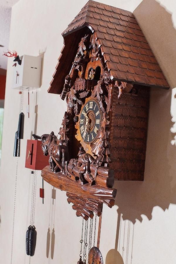 SCHWARZWALD PANORAMA