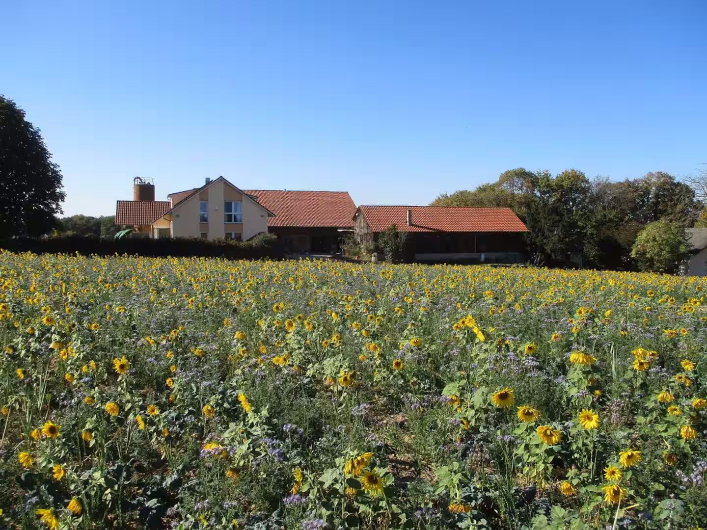 Ferienhof Obertor Kälberstall