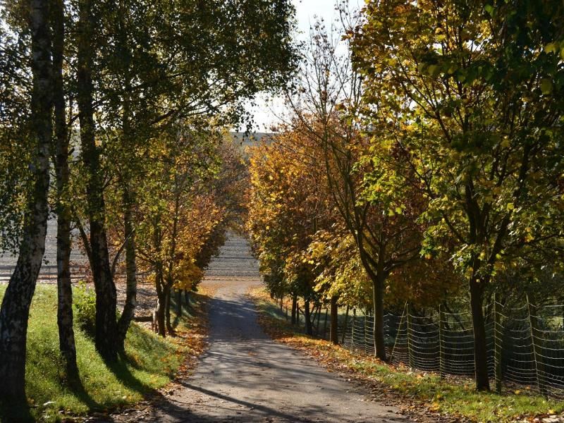 Steinäckerhof - Familienfreundlicher Bauernhof im Hunsrück