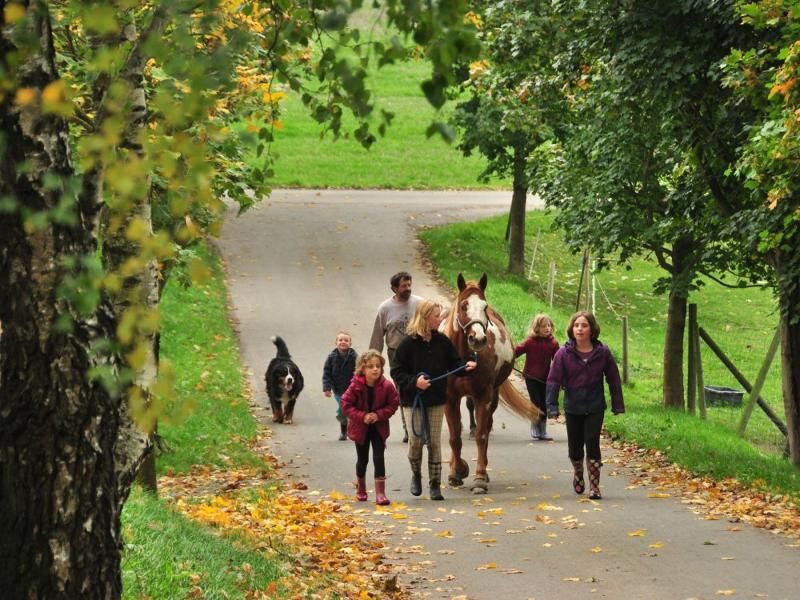 Steinäckerhof - Familienfreundlicher Bauernhof im Hunsrück
