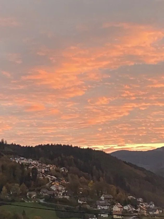 Ferienhof Brutoni Ferienwohnung Schwarzwaldtraum 