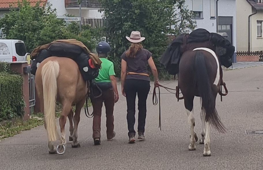 Wanderreiten auf der Schwäbischen Alb