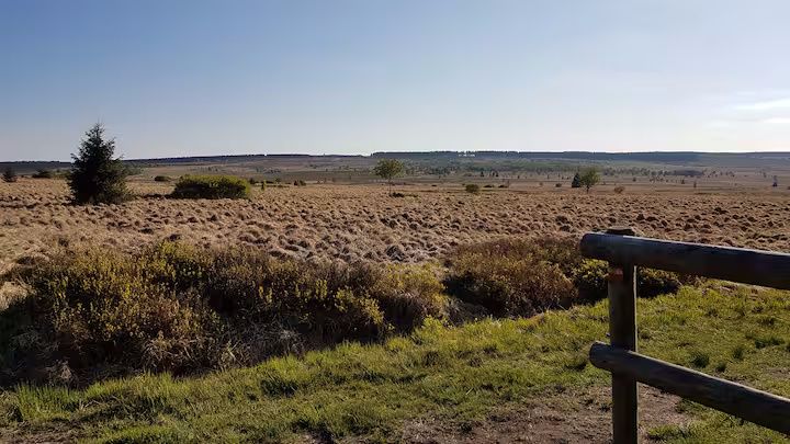 Aussicht im Venn