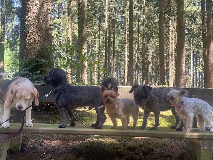 Ferienwohnung Mitten in der Natur