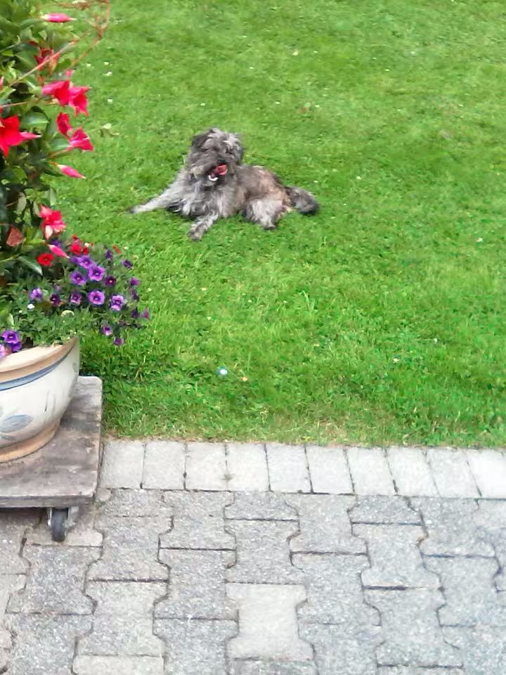 Ferienwohnung Mitten in der Natur