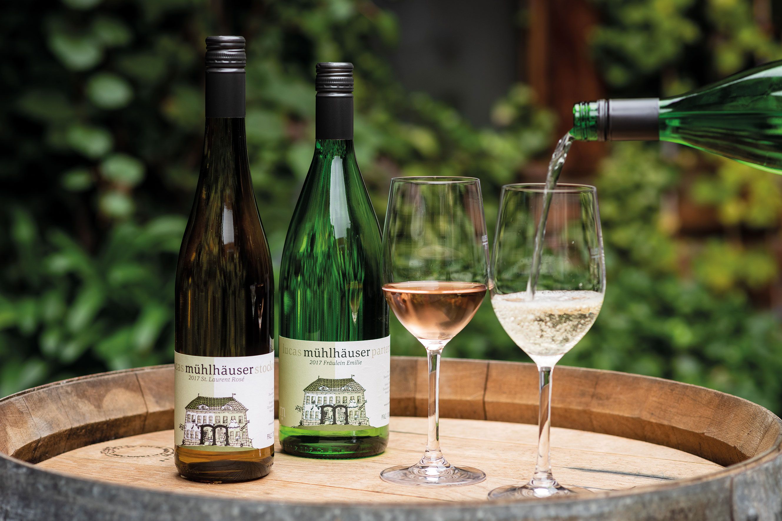 Wein