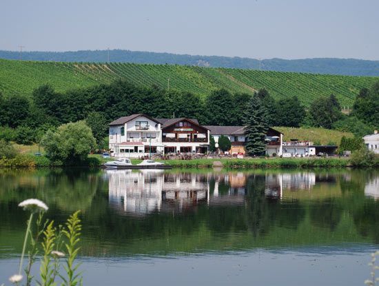 Hotel Moselblick Piesport