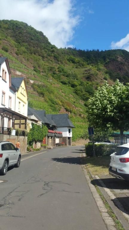 Ferienwohnungen Haus Moselschleife