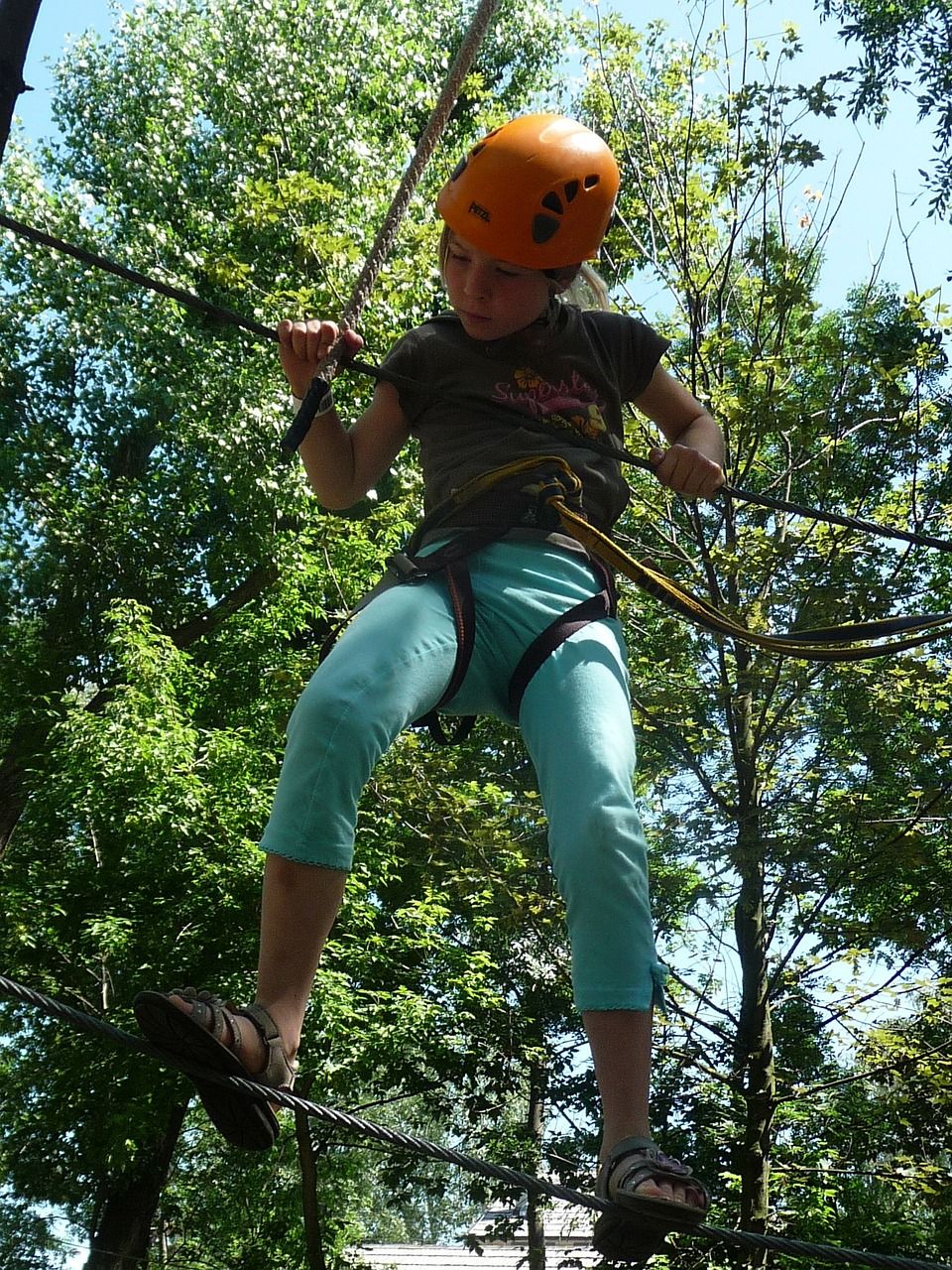 Waldseilgarten HighLive