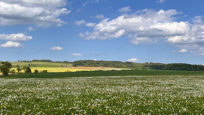 Ahrliebe - Ihrferienzuhause