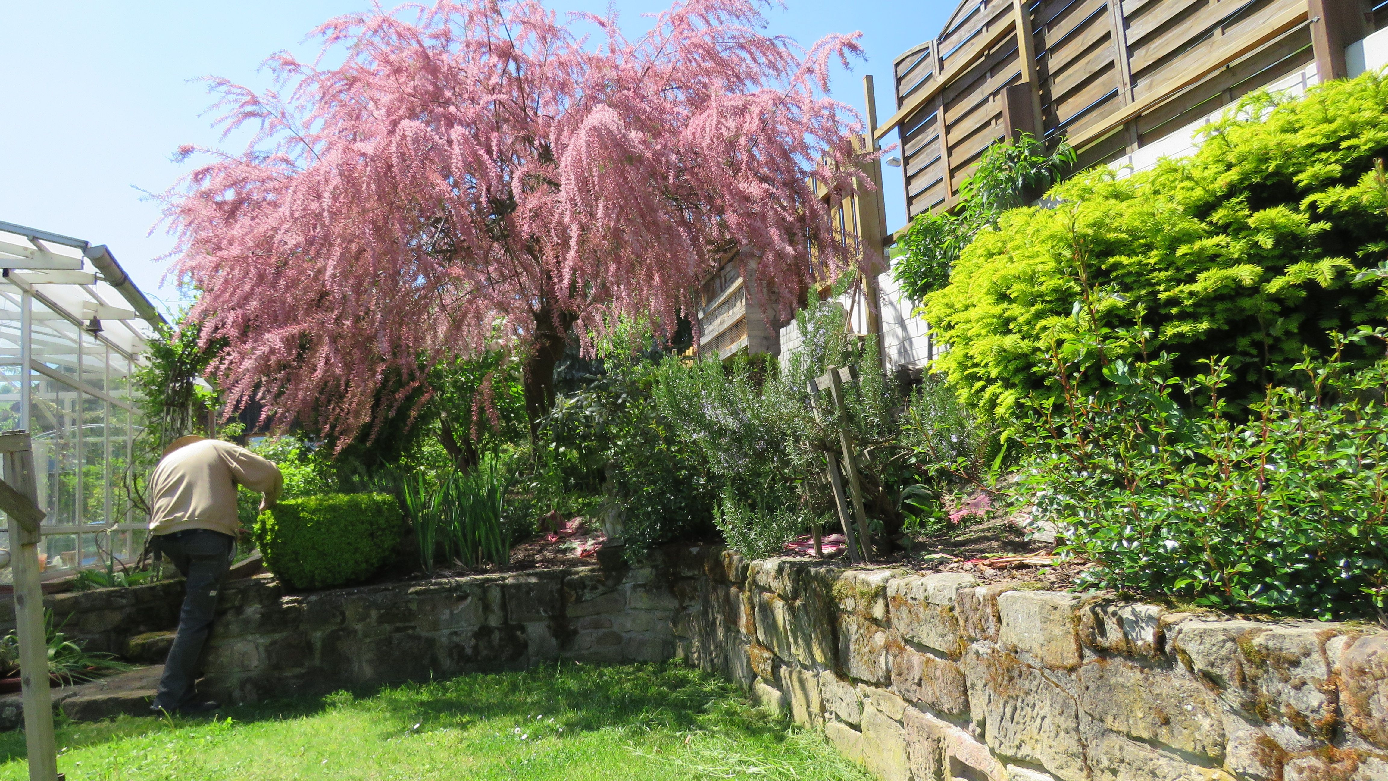Garten