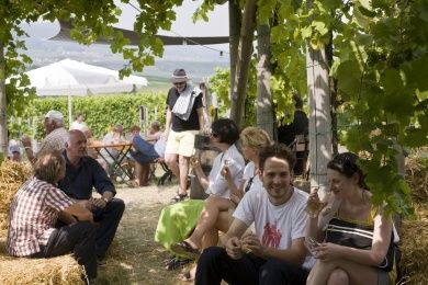 Ilbesheimer Kalmitfest