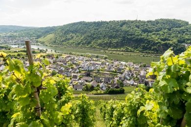 Wein- und Winzerhöfefest in Alken