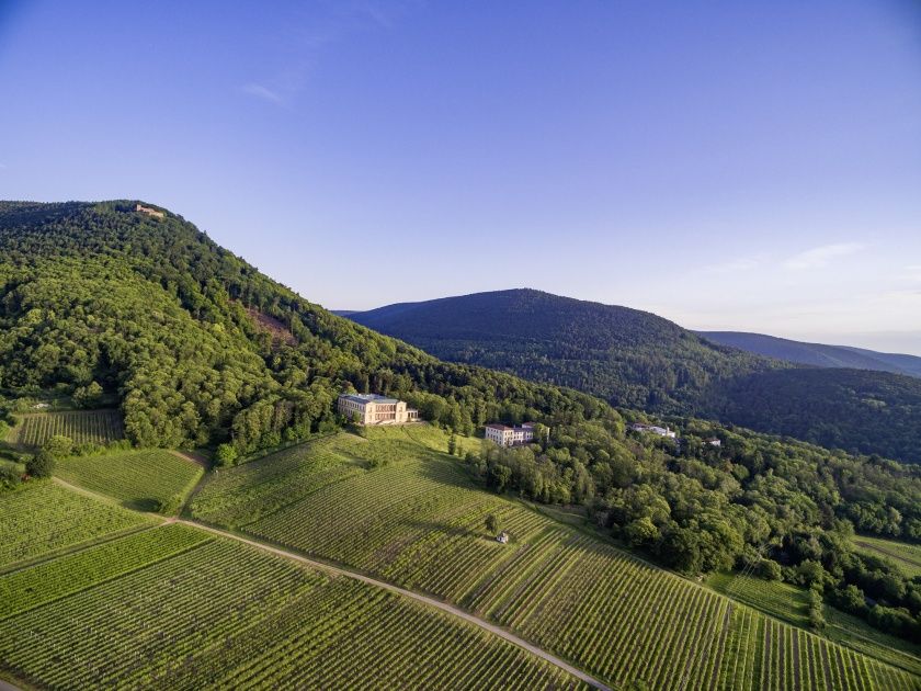 Weinfest der Südlichen Weinstrasse Weinfest der Südlichen Weinstrasse