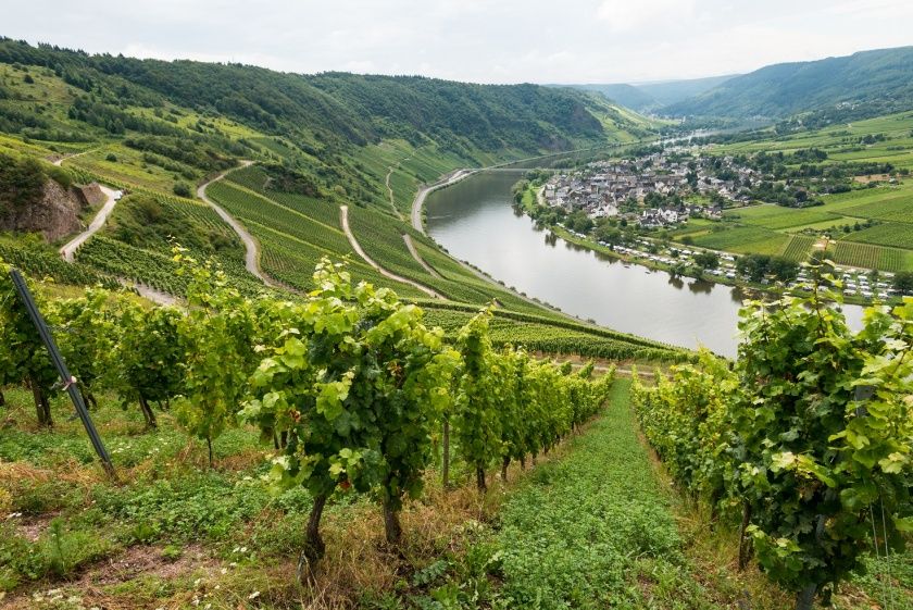 Kröver Nacktarsch Weinfest Kröver Nacktarsch Weinfest