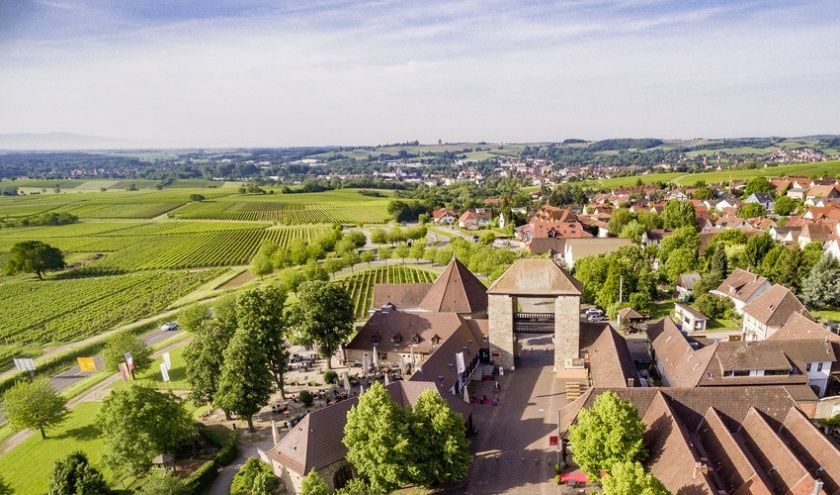 Grenzenlos Wein Grenzenlos Wein