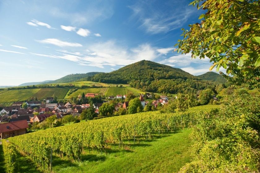 Leinsweiler Sommer Leinsweiler Sommer
