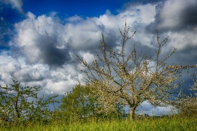 Traumschleife Oppig-Grät-Weg Traumschleife Oppig-Grät-Weg