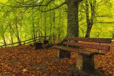 Mühlenpfad im Ostertal Mühlenpfad im Ostertal