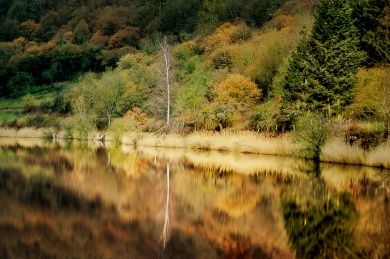 Eifel Quellenwanderweg