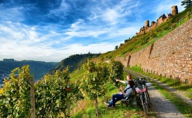 Mosel-Radweg Mosel-Radweg