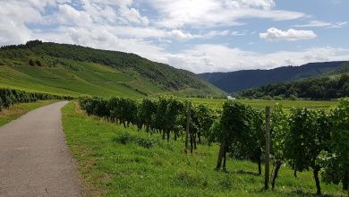 Lorettaweg