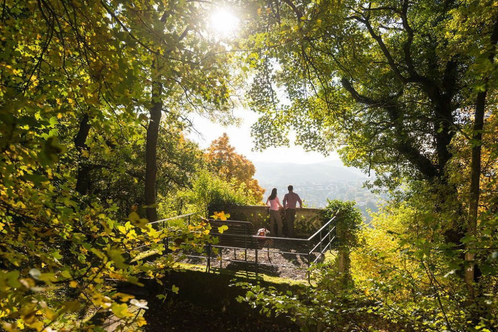 Traumschleife Nahe-Felsen-Weg