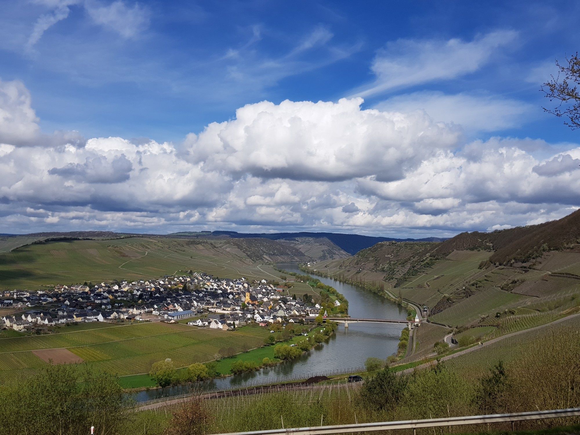 Moselachter Moselsteig-Seitensprung