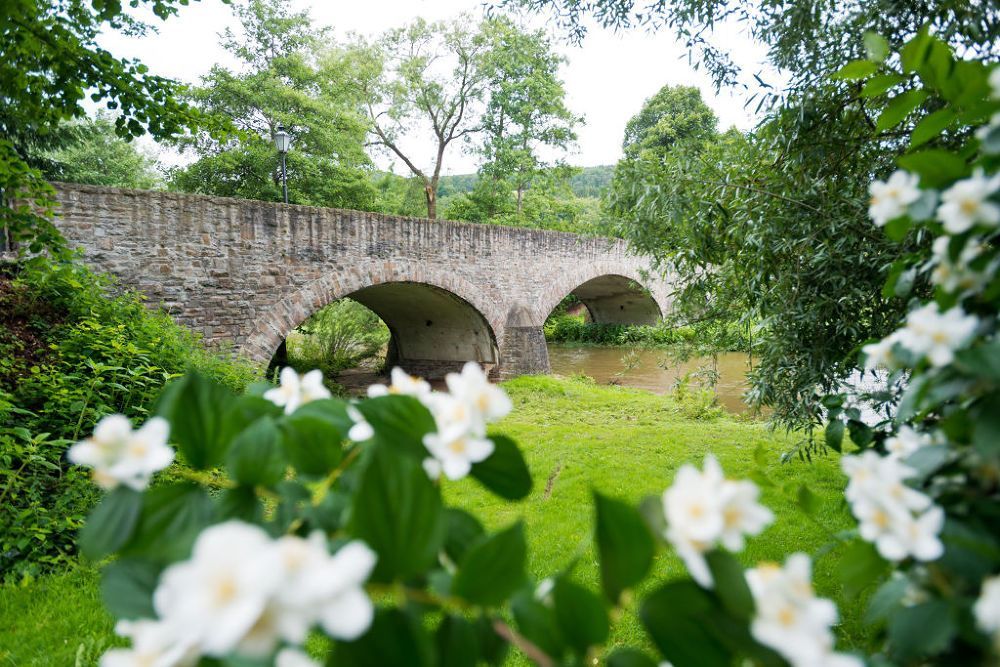 Auf den Spuren alter Mühlen